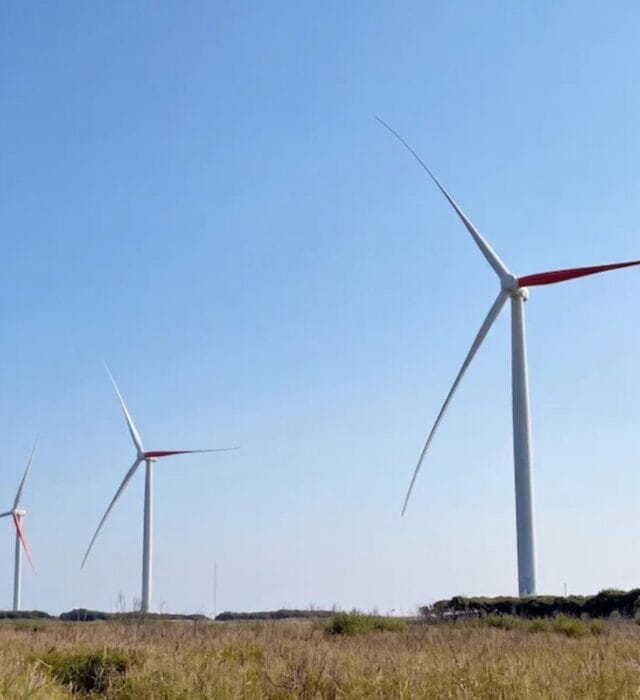 Eurus Energy’nin Japonya’daki Hamasato RES’te kuş çarpışmalarını azaltmak amacıyla bir kanadı kırmızıya boyanan rüzgar türbini