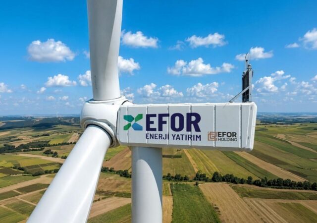 Efor Holding