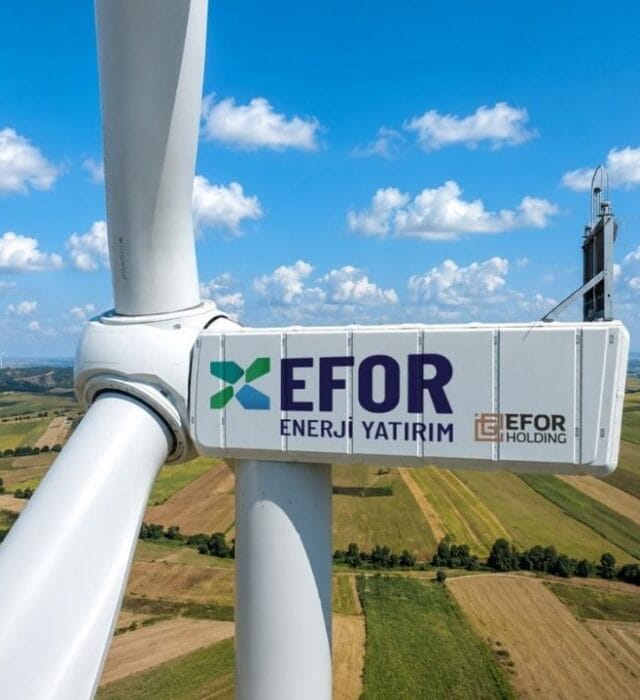 Efor Holding