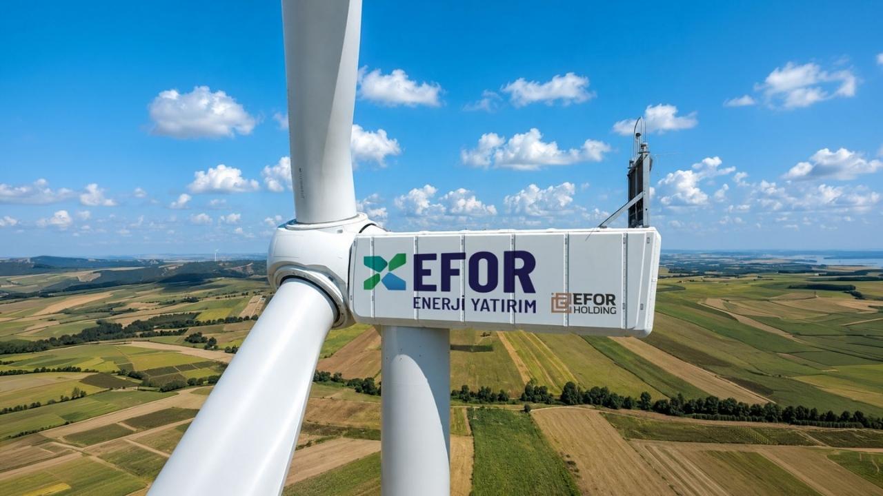 Efor Holding