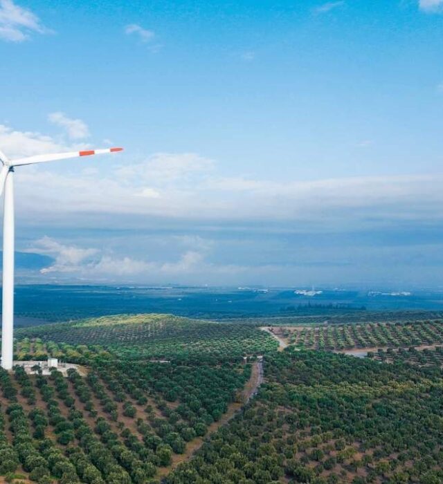 Enerjisa Üretim Edirne RES
